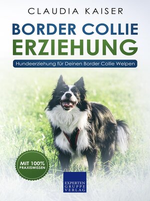 cover image of Border Collie Erziehung
